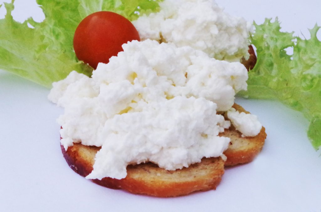 Portal do Queijo