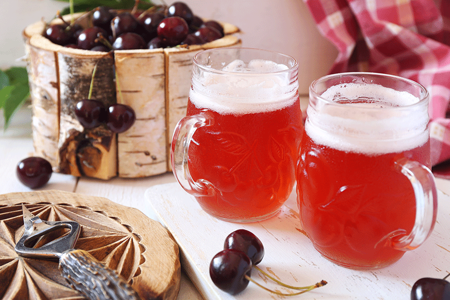 Cervejas-fruit-beer