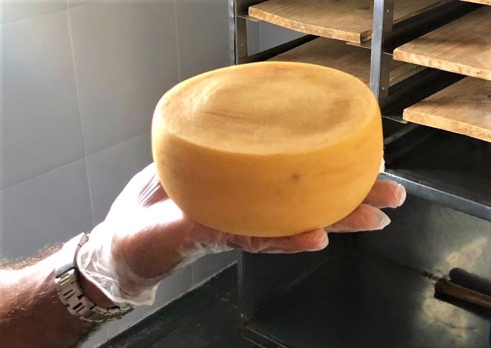 QUEIJO